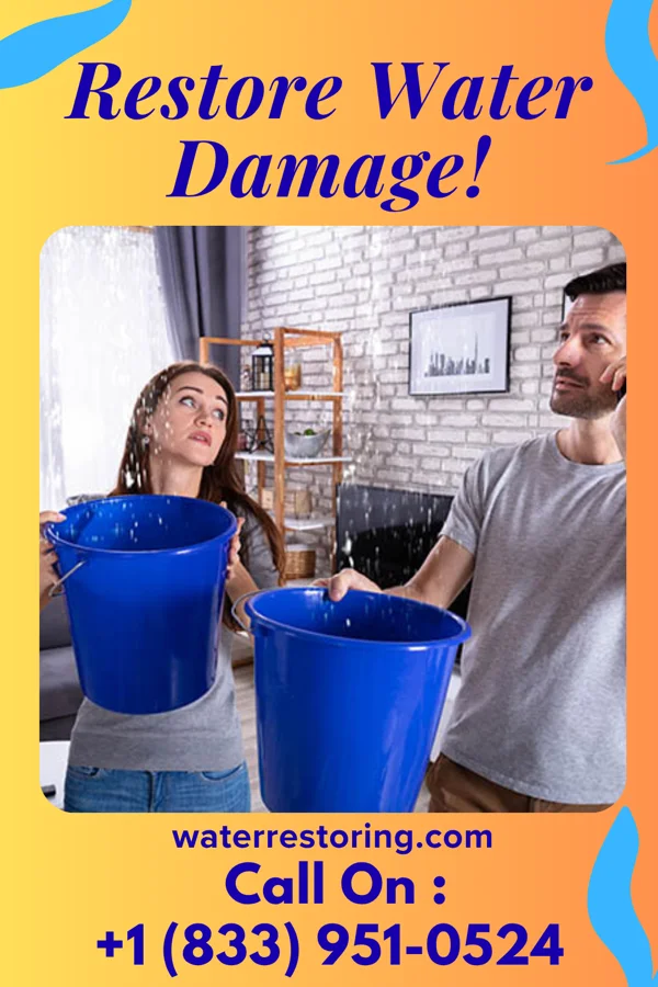 water restoration Coastal Flood Damage Solutions Scott