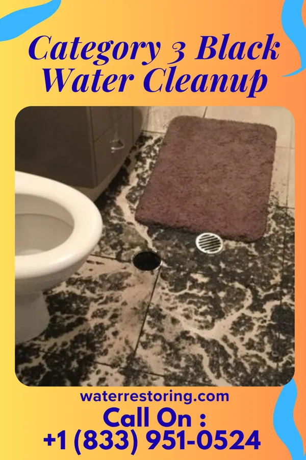 Category 3 Black Water Cleanup in Scott, LA