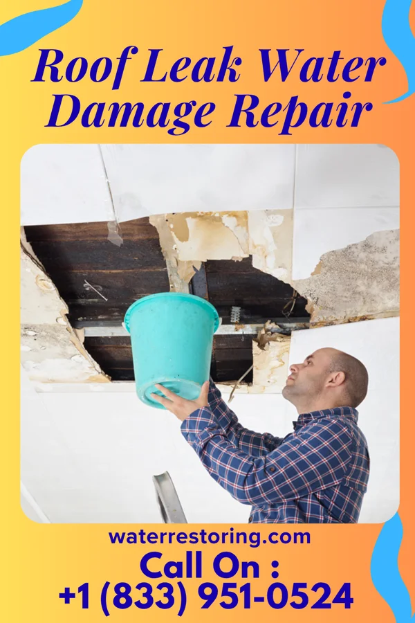 Roof Leak Water Damage Repair in Scott, LA